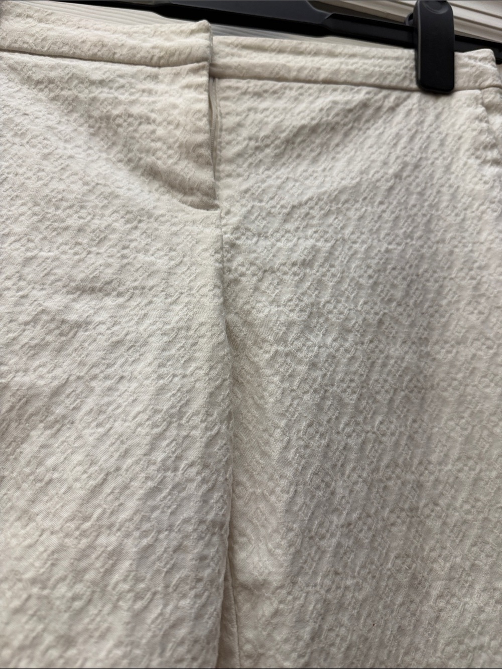 Cynthia Rowley Cream Textured Ankle Pants - Picture 3 of 12